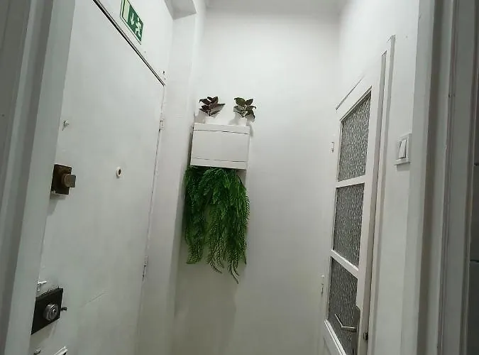 Apartmán Ap Centro De Gaia